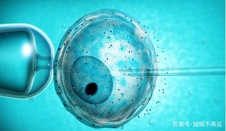 专家